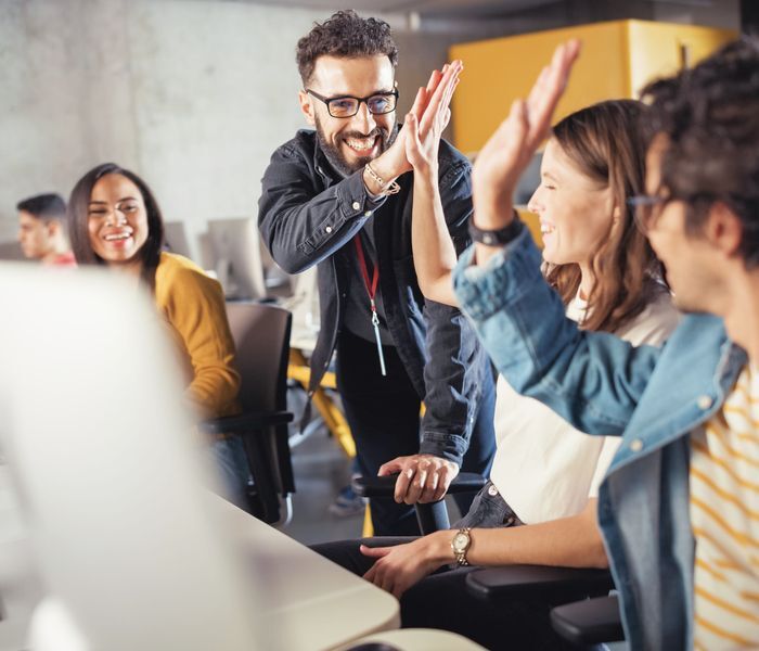 Ausbildung & Studium